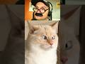 Кот наелся валерьянки