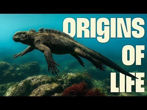 The Galapagos: Raw Beauty | FULL DOCUMENTARY | Wildest Islands