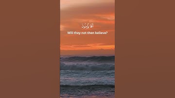 سورة الأنبياء - Surah Al'Anbya