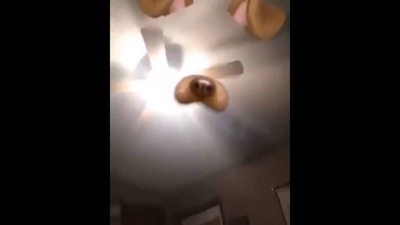 Snapchat Ghost Dog Filter Lens Youtube