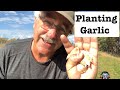 How to Plant Garlic the EASY way, NO WEEDING and BEST Mulch