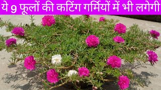 गर्मियों में आसानी से लगने वाले 9 फूलों की कटिंग | grow flower plants by cuttings in summer season