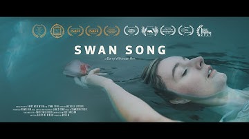 Swan Song - Short Art Film - 4K