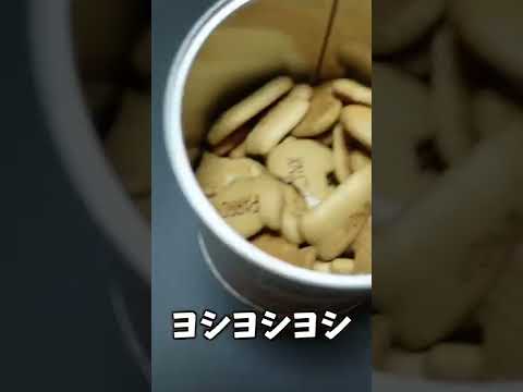 お菓子に感情移入しすぎた人の末路 #shorts