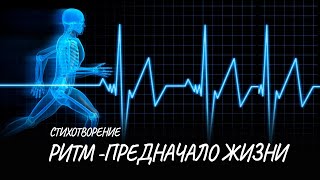 Ритм предначало жизни #стих