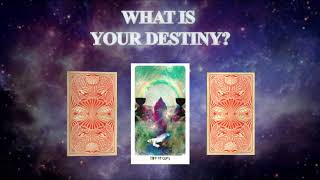 GA Space Tarot 1920x1080 15s screenshot 5