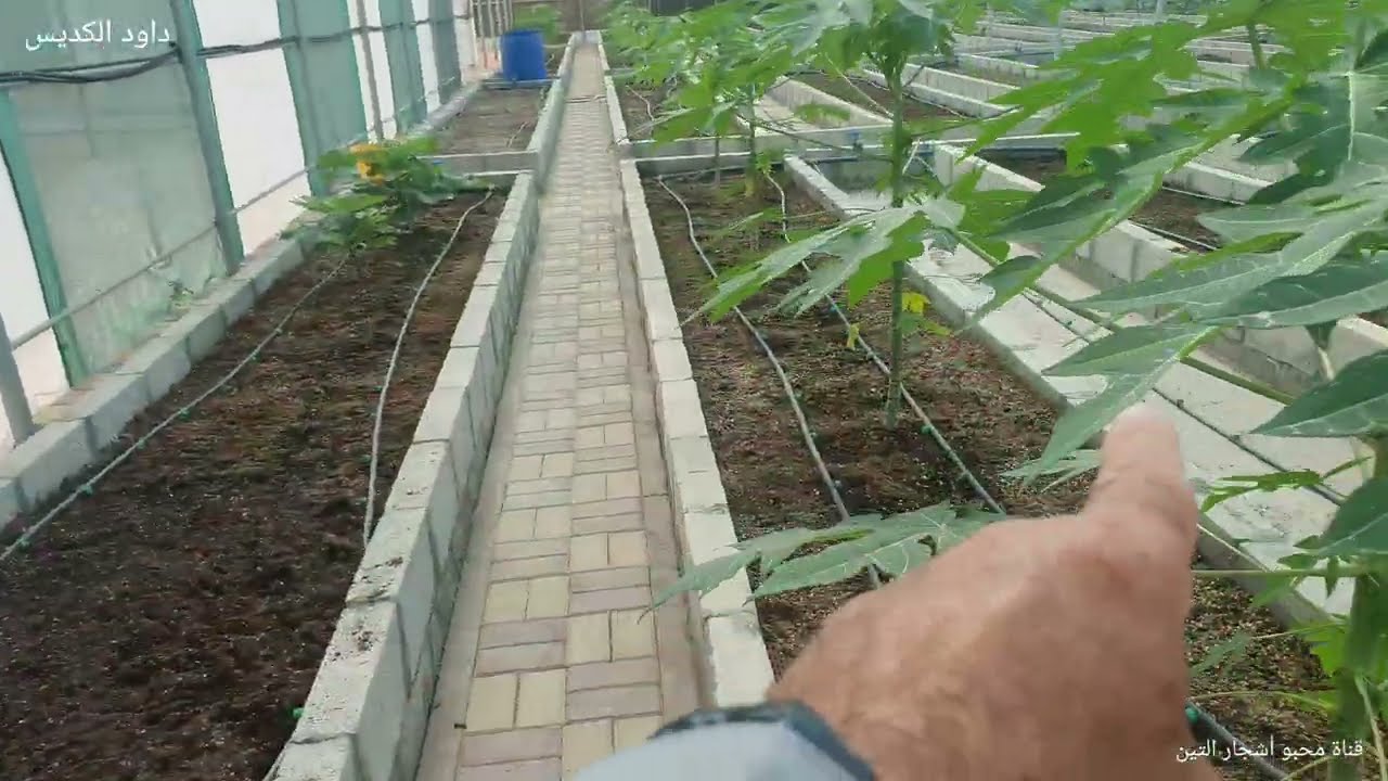 زيارة خاصة لمزرعة الأخ علي عمران بالإمارات العربية المتحدة بإمارة الشارقة