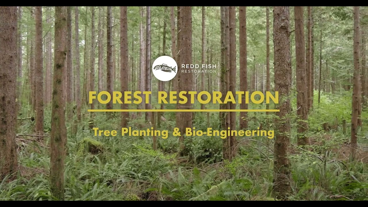Forest Restoration - Tree Planting & Bio-engineering with 