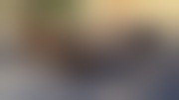 San Antonio street dogs breeding in the streets.