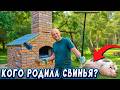 ЖИЗНЬ на настоящих ЛЕСНЫХ хуторах. Свинка обрадовала опоросом. Подготовка сарая к новым животным