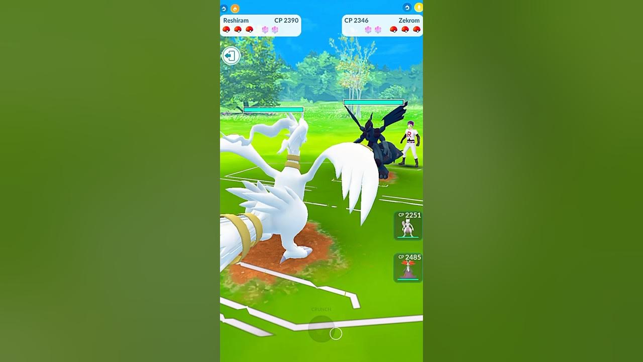 ✨Shiny Reshiram V/S ✨Shiny Zekrom PVP Tao Battle in #pokemongo 