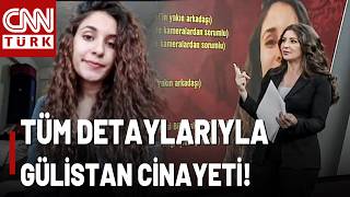 Gülistan Doku Soruşturmasında Son Durum: Merve Tokaz, Soruşturmayı Tüm Detaylarıyla Aktardı!