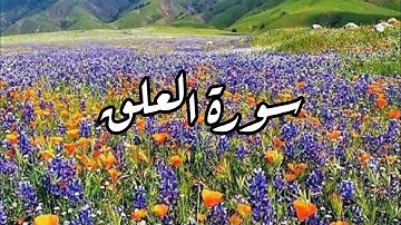 [سورة العلق] القارئ/عبدالله المطرود