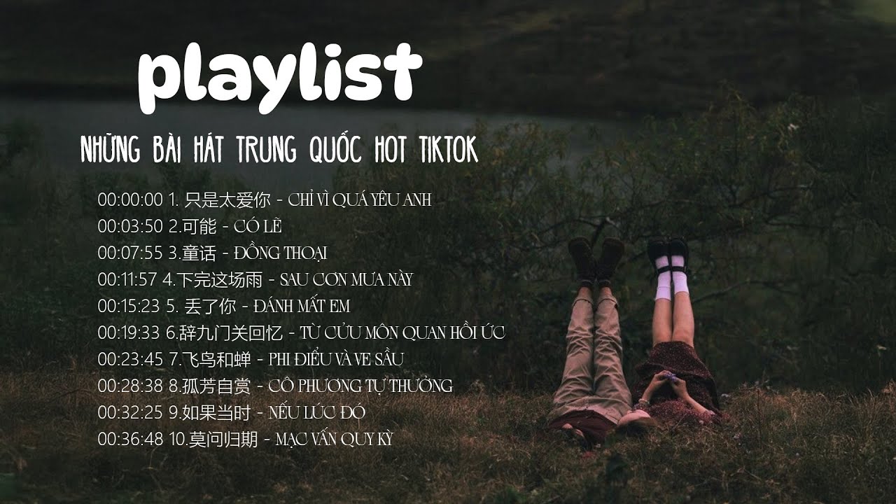 [Playlist - Nhạc Trung Hot Tiktok] Chỉ Vì Quá Yêu Anh - Có Lẽ - Phi Điểu Và Ve Sầu...