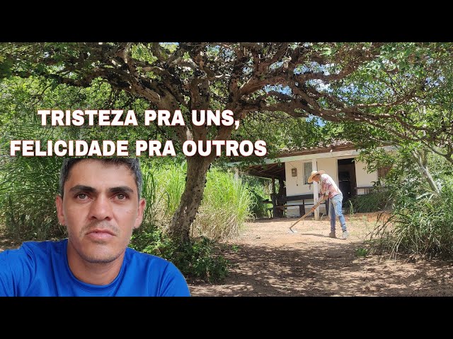 Brasil Limpeza: Papai, não esqueça a minha metralhadora giratória