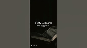 محمد اللحيدان #قرآن #المصحف #تلاوة_خاشعة #الرحمن