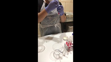 Biochemical Testing for Microbial Identification: Carbohydrate Fermentation Testing