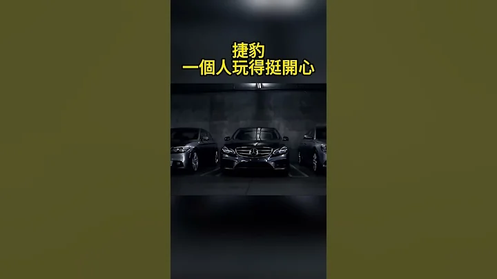 捷豹一个人玩得挺开心 - 天天要闻