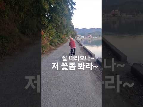 90세 울엄마와 산책/#친정엄마/바닷길/#남해바다/고향바다/#가을바다
