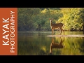 Kayak photography wildlife pictures