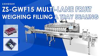 Zonesun Zs-Gwf15 Automatic Multi Lane Blueberry Cherry Tomato Fruit Weighing Filling Packing Machine