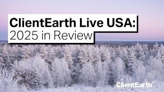 ClientEarth Live USA: 2025 in Review