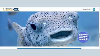 Britannica Library  Homepage Features