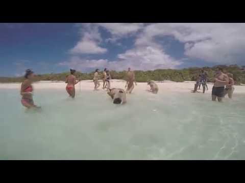 Bahamas pericolo scampato