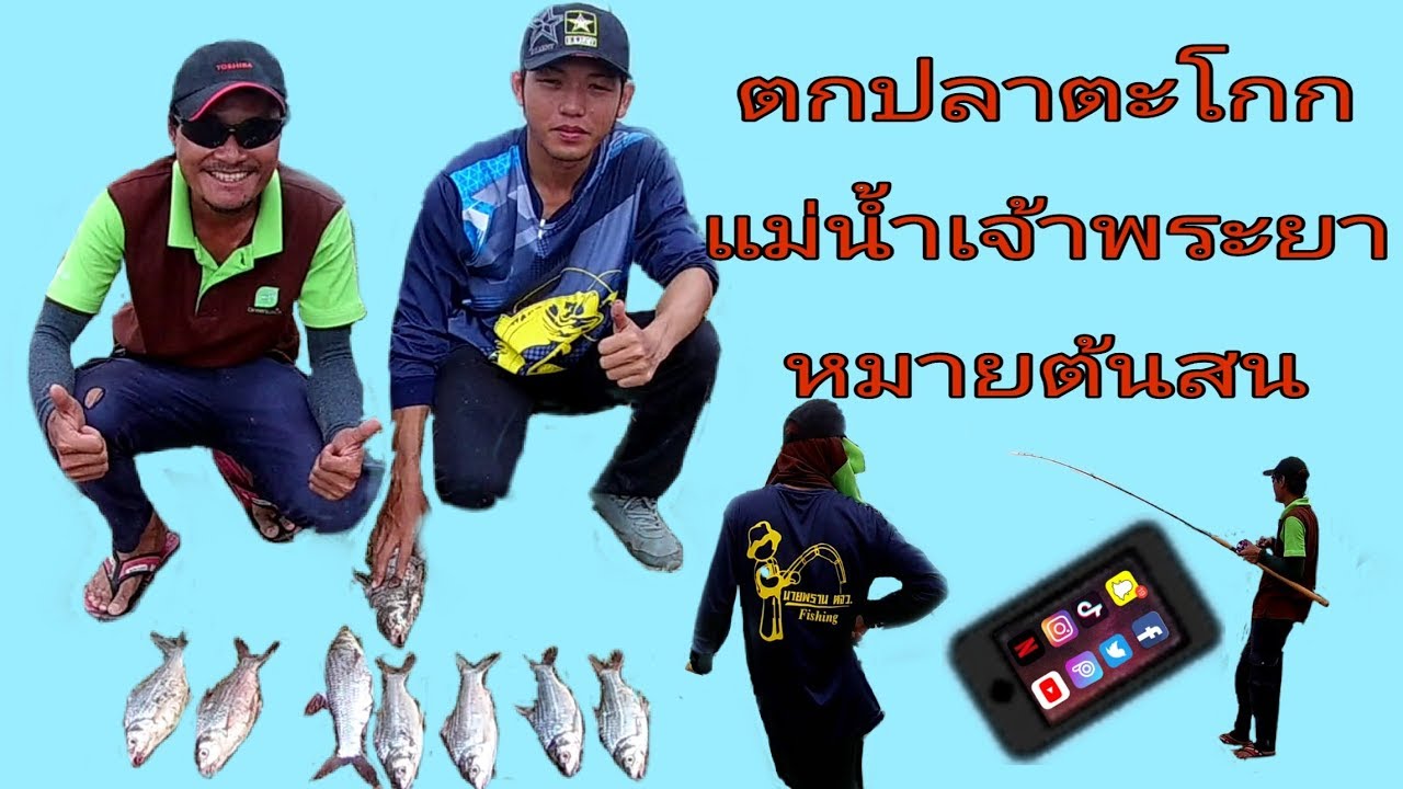 ไร่ องุ่น หัวหิน 2561