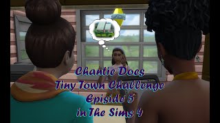 This game makes me SO ANGRY Sometimes! | Tiny Town Challenge Episode 5 | TS4