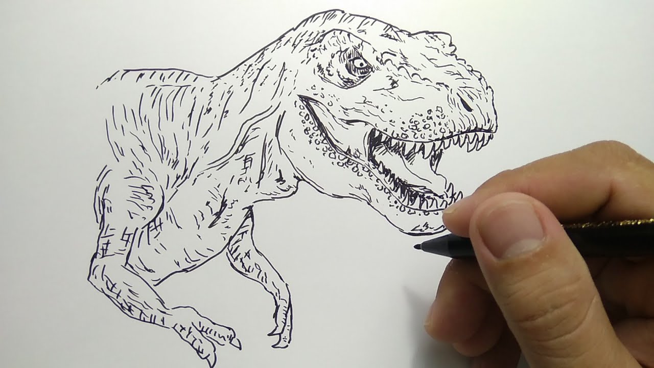 Cara Menggambar Kepala Dinosaurus T Rex How To Draw Dinosaur T