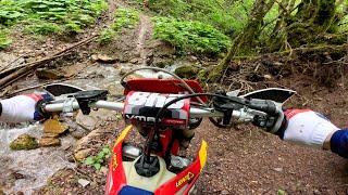 Extreme Enduro Lika 2024 | Kacper Dudzic POV | Prolog by Enduro DKA 6,883 views 3 weeks ago 41 minutes