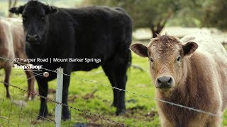 47 Harper Road | Mount Barker Springs
