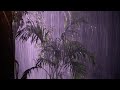 Fall Asleep Easily in 2 Minutes with Strong Rain &amp; Powerful Thunder on Garden at Night | White Noise