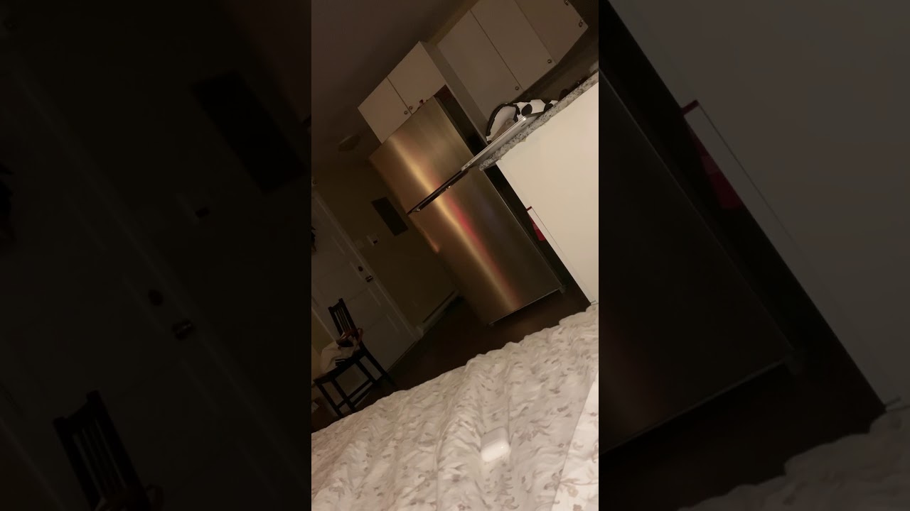 WATCH THIS before buying an Insignia fridge. Animal mooing NOISE in the
