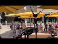 Child prodigy sits down at a public street piano