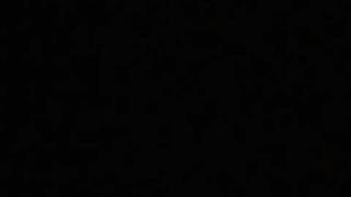 Un Grillo Por La Noche