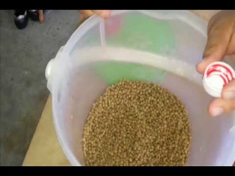 Umpan ikan patin pellet 6363 + Minyak Greenbait 八丁鱼诱饵