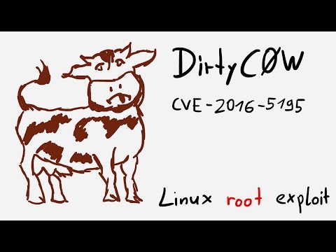 Explaining Dirty COW local root exploit - CVE-2016-5195