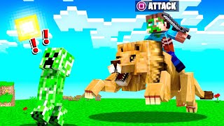 How To TAME a PET LION In Minecraft!