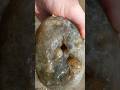 Rockhounding The Yellowstone River For Agates #thefinders #youtubeshorts #rockhounding