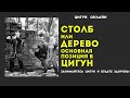 Основная позиция в ЦИГУН - Столб или Дерево | Начальная работа с Даньтянями