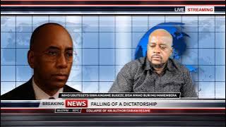 JEAN PIERRE MUGABE : FALLING OF A DICTATORSHIP - COLLAPSE OF AN AUTHORITARIAN REGIME