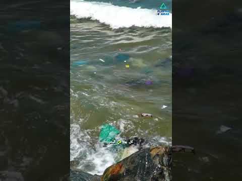 رحلة كيس البلاستيك اللي مش بتنتهي ازاي حاجة بسيطة بتدمر كوكب كامل