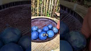 Why Lapis Lazuli Was Worth More Than D