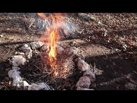 Video: Kako Zakuriti Ogenj V Gozdu