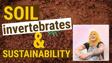 Stephanie Chute Ibsen - Dishing the Dirt on Soil Invertebrates and Sustainability