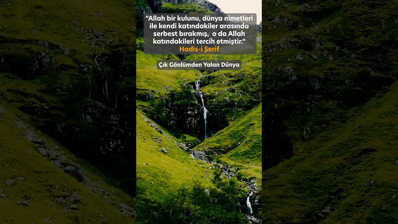 Çık Gönlümden Yalan Dünya - Mustafa Dursun #ilahi #engüzelilahiler