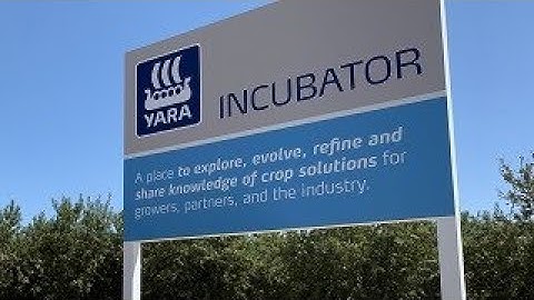 Foliar or soil-applied post-harvest nutrition? Let the leaves tell you.