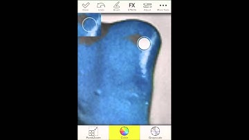 Color Splash Studio For The iPhone App Review